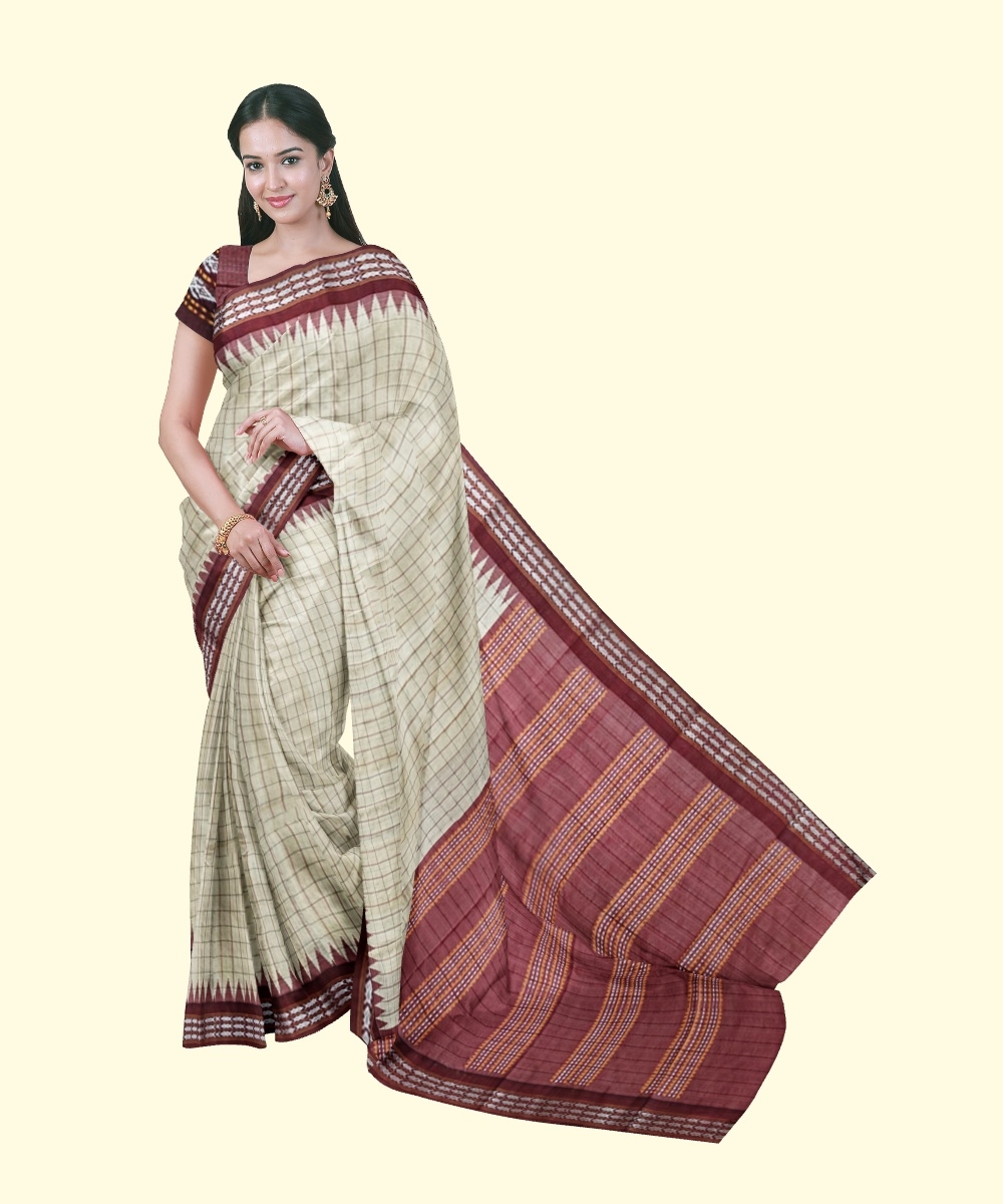 Beige Sambalpuri Handwoven Vidarbha Border Tussar Silk Saree Image 1