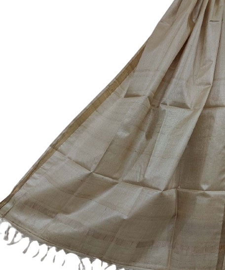 Beige Black Handwoven Tussar Silk Dupatta SFTDUP1406